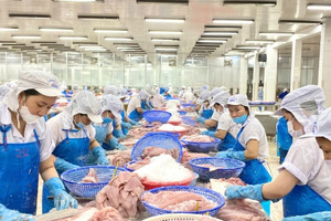 Thị trường đang tiêu thụ cá tra Việt Nam lớn nhất