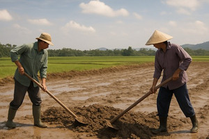 Từ bây giờ, người dân san lấp đất nông nghiệp trái phép sẽ bị phạt nặng