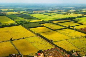 Từ bây giờ, một loại đất bị biến thành đất ở sẽ bị phạt tới 400 triệu đồng