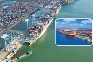 Sau sáp nhập, một địa phương của Việt Nam sẽ trở thành 'trùm' cảng biển, sở hữu cảng duy nhất miền Nam có tuyến tàu trực tiếp kết nối Âu - Mỹ