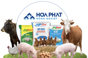 Chục năm đầu tư vào mảng nông nghiệp, Hòa Phát (HPG) thu được bao nhiêu?