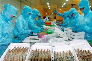 Mặt hàng tỷ đô dưới nước của Việt Nam bứt tốc xuất khẩu sang Mỹ, cạnh tranh trực tiếp với hàng Trung Quốc