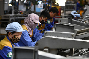 Kinh tế tư nhân là động lực quan trọng nhất của nền kinh tế quốc gia