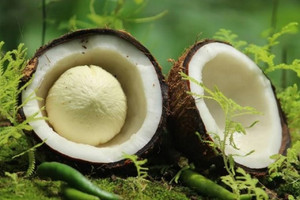 Giá loại quả khác biệt nhất lập đỉnh lịch sử, Việt Nam đặt mục tiêu xuất khẩu cán mốc 1 tỷ USD