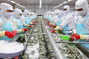 Xuất khẩu thủy sản bùng nổ, cá ao làng của Việt Nam thu cả triệu đô