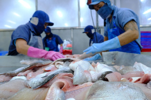 Xuất khẩu thủy sản Việt Nam sang Trung Quốc tăng mạnh, vươn lên số 1