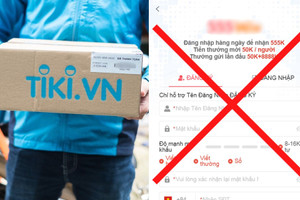 Một sàn thương mại điện tử của Việt Nam bất ngờ bị chuyển hướng sang website cá độ