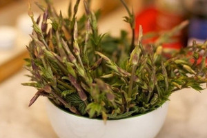 Từng bị xem là phế phẩm, loại rau này hiện có giá trị cao nhất thế giới: Người giàu sẵn sàng chi đến 40 triệu đồng cho 1kg