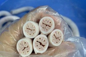 Lòng se điếu đông lạnh được rao bán trên mạng xã hội với giá không tưởng: 225 nghìn/1 thùng 10kg