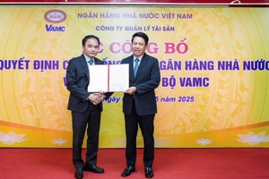 Ông Đặng Đình Thích làm Quyền Tổng Giám đốc Công ty thu hồi nợ xấu VAMC