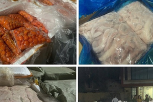 Hà Nội: Phát hiện hơn 7 tấn trứng non, nầm lợn không rõ nguồn gốc ở Thanh Trì