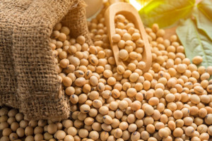 Thuế nhập khẩu về 0%: Cú hích cho ngành thức ăn chăn nuôi, Dabaco và Masan MEATLife hưởng lợi lớn