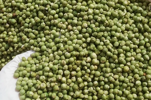 Giá xuất khẩu một loại hạt của Việt Nam tăng 1.300%, chợ bán 1,6 triệu đồng/kg