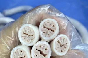 Kiểm tra đột xuất cơ sở ở TPHCM của chuỗi quán ăn có lòng se điếu dài 40m
