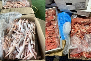 Công an 'khui' hơn 2,5 tấn thực phẩm đông lạnh không rõ nguồn gốc ở Đà Lạt gồm chân gà, ốc nhồi thịt...