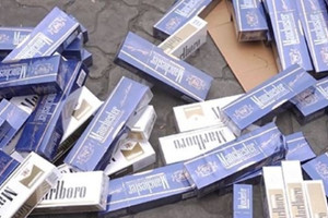 Lô hàng nội thất đi Úc chỉ là vỏ bọc, chó nghiệp vụ góp sức phá vụ buôn lậu thuốc lá quy mô lớn