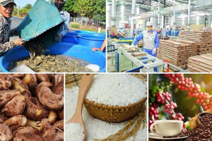 Không phải gạo hay tôm: Đây mới là 'vua nông sản Việt', thu về 3,8 tỷ USD trong 4 tháng