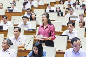 Nguy cơ từ rau củ, trái cây bẩn: Đại biểu Quốc hội kiến nghị khẩn cấp