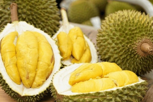 Rào cản khiến sầu riêng Việt 'mắc cạn' ở cửa khẩu Trung Quốc