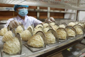 Xuất khẩu nhỏ giọt, tổ yến Việt gặp thêm rào cản mới trên đường sang Trung Quốc