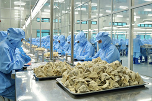 Lý do người Trung Quốc chưa biết nhiều về tổ yến Việt Nam
