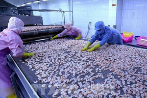 Doanh nghiệp thủy sản 12.600 nhân sự lãi quý trở lại, xuất khẩu trăm triệu USD sang Mỹ, EU, Nhật, Úc...