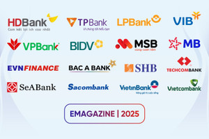 Đột phá hậu ĐHCĐ 2025: Dấu ấn HD Financial Group, EVNFinance tăng tốc
