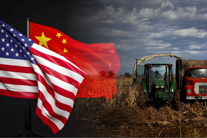 Mất trắng 750 triệu USD sau 3 tháng: Nông nghiệp Mỹ bắt đầu 'ngấm đòn' thuế quan