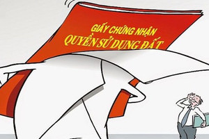 Từ bây giờ, trường hợp đất không sổ đỏ này sẽ vẫn được bồi thường khi bị thu hồi đất
