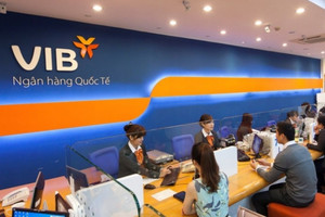 Ngân hàng của Chủ tịch Đặng Khắc Vỹ: Vay 1 tỷ trả gốc 1 triệu đồng/tháng