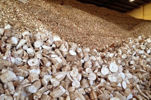 Việt Nam - Thái Lan cạnh tranh quyết liệt giành thị phần một mặt hàng nông sản tại thị trường Trung Quốc