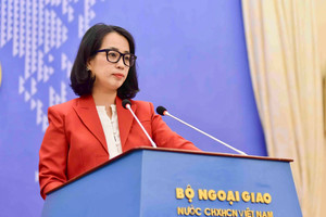 Việt Nam hoan nghênh đề xuất của Tổng thống Nga với Ukraine