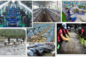 Tổng Bí thư Tô Lâm và tư duy lý luận mới về kinh tế tư nhân