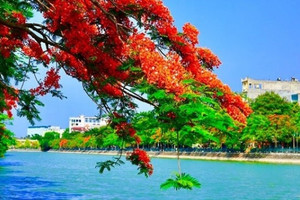 70 năm Ngày giải phóng thành phố và đề xuất quan trọng để Hải Phòng bứt phá vươn mình