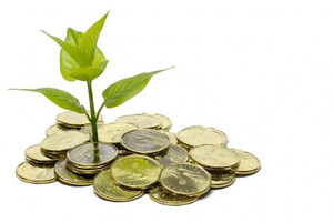 Thêm 11 doanh nghiệp sắp chốt quyền trả cổ tức bằng tiền, cao nhất 30%