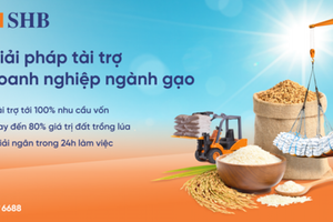 SHB ra mắt giải pháp tài trợ linh hoạt cho ngành gạo, đồng hành cùng Chính phủ phát triển nông nghiệp bền vững