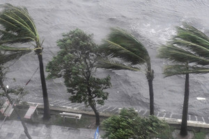 ENSO trung tính, mùa mưa bão 2025 dị thường, khó lường