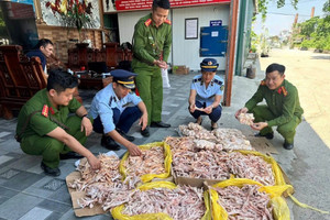 Kinh hoàng hàng trăm kg chân gà, đuôi lợn không rõ nguồn gốc trong kho công ty 'thực phẩm sạch'