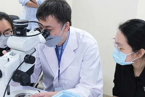 Từ 15/6, chuyên gia cao cấp tại cơ quan của Đảng, Nhà nước được hưởng quyền lợi lớn, chế độ tương đương Bộ trưởng
