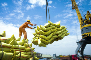 Xuất khẩu gạo top đầu nhưng Việt Nam được Bộ Nông nghiệp Mỹ dự đoán trở thành nước nhập khẩu gạo cao thứ 2 thế giới, vì sao?