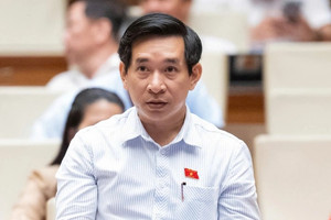ĐBQH đề xuất giấy tờ mới của người dân ghi cả địa chỉ trước và sau sáp nhập