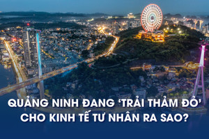 Chỉ mất 30 ngày phê duyệt đầu tư, vài cú click là minh bạch quy hoạch: Quảng Ninh đang trải thảm đỏ cho kinh tế tư nhân ra sao?