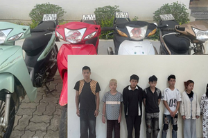 Bắt giữ Bùi Thị Hiền Lương, SN 2009 cùng 6 đồng phạm