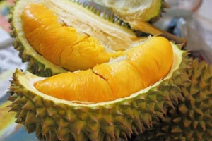 Sở hữu giống sầu riêng được khen là ngon nhất thế giới: Campuchia tự tin bước vào sân chơi tỷ đô