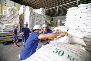 Đề xuất quy định mới về kinh doanh xuất khẩu gạo