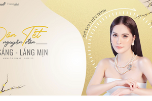 Vướng lùm xùm, Công ty liên quan vợ chồng Đoàn Di Băng kinh doanh gì?