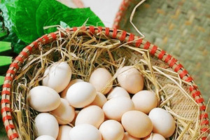 Thực hư loại trứng gà ‘lạ’ gây bão mạng