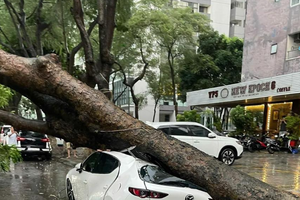 Lộ diện những 'góc khuất' bảo hiểm ô tô