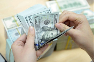 Tỷ giá ngày 19/5: USD và NDT hạ nhiệt nhẹ, chợ đen điều chỉnh mạnh