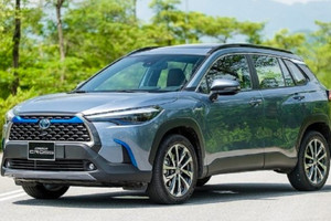 Phân khúc xe này ghi nhận mức tăng trưởng hơn 40% bất chấp thị trường ôtô trầm lắng